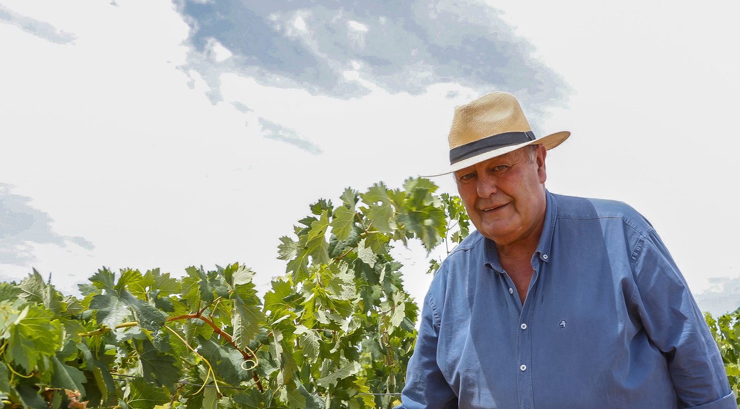 vinos únicos en el mundo - entrevista con Ramón Muñoz de Cuerva sobre los vinos DO Campo de Calatrava